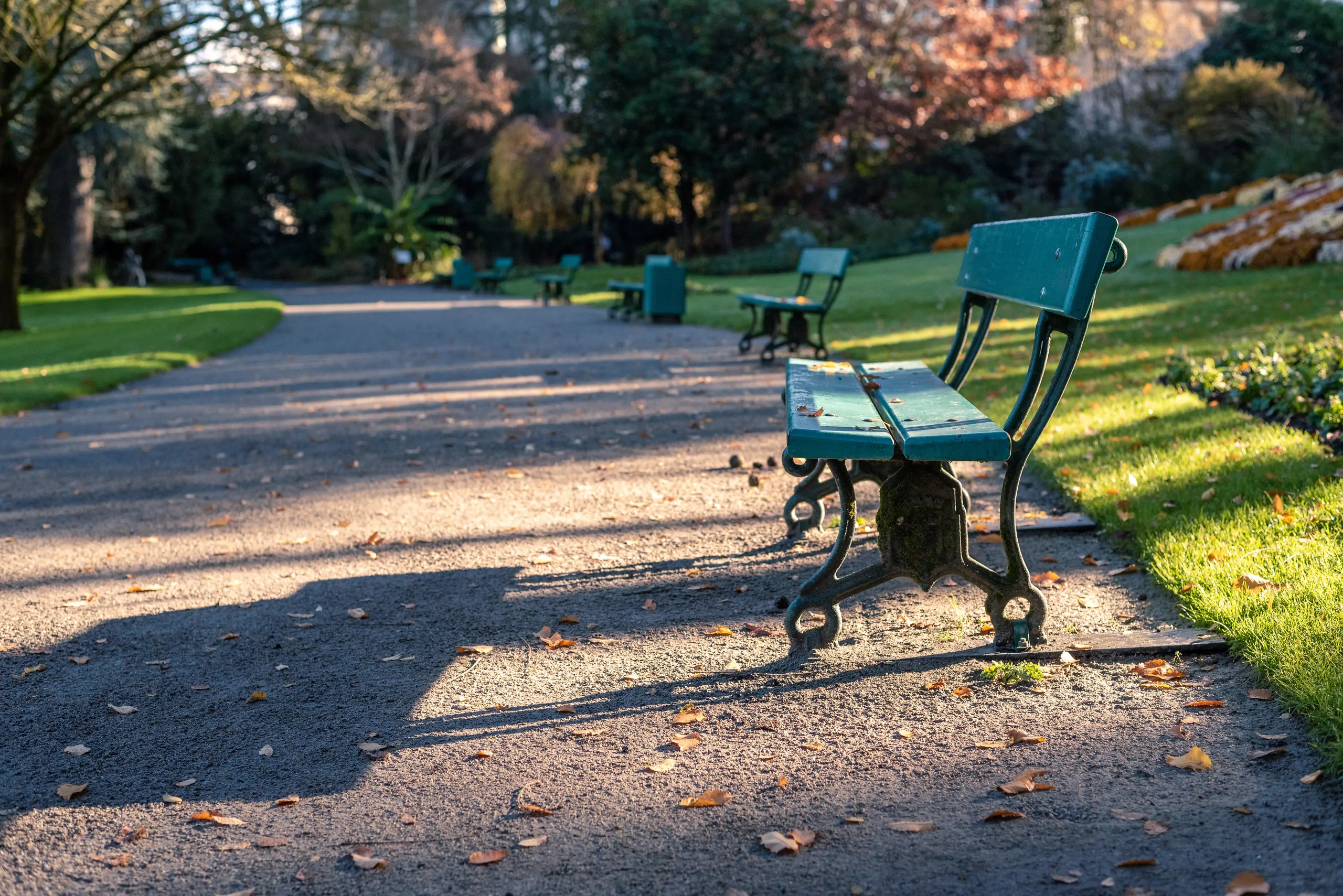 jardin des plantes